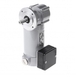 Motor-gear comb. WEG 3000U EPG133 15:1 